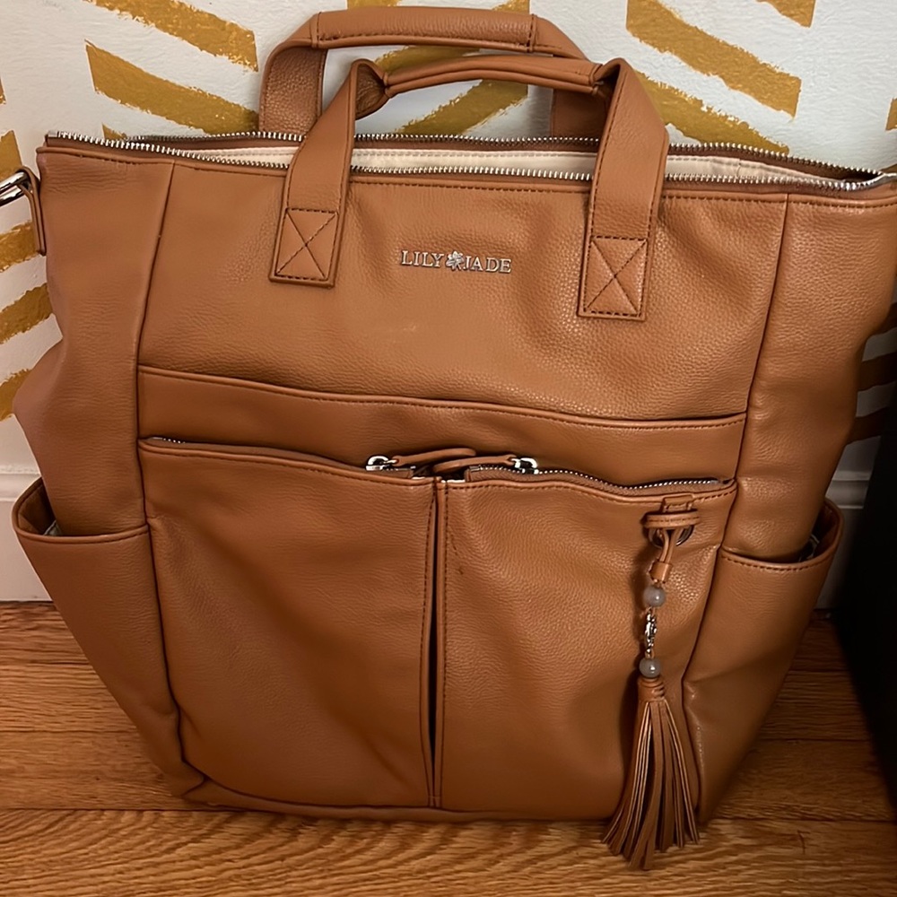 Lily Jade Caroline Bag